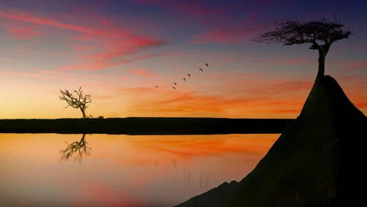 jplenio 20101113 181544